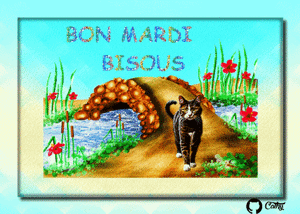 Gif animé Bon mardi bisous chat